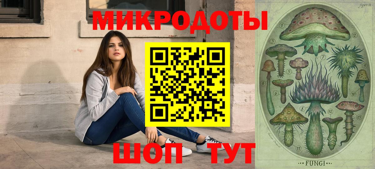 Галлюциногенные грибы Psilocybine cubensis Волжск