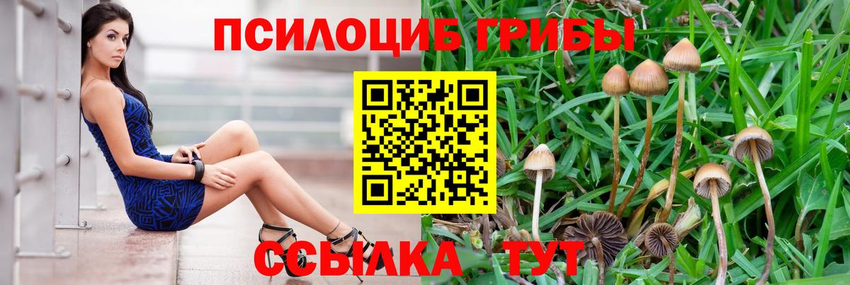 Псилоцибиновые грибы Psilocybe  Вход с VPN  Волжск  Псилоцибиновые грибы MAGIC MUSHROOMS 