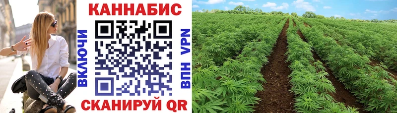 купить  сайты  Волжск  Канабис гибрид 